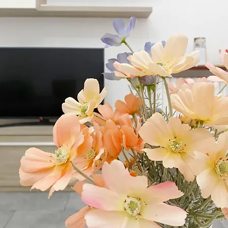 Gris Apartment: Venice